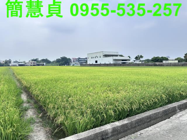 南投草屯農地-4