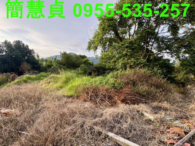 鹿谷國小建地平房