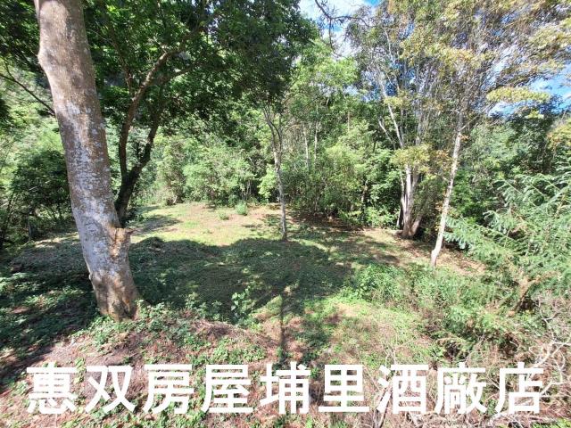 南投埔里農地-4