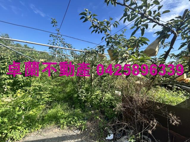 卓蘭農地-8