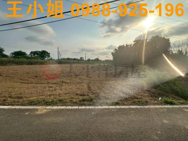 大園農地-1