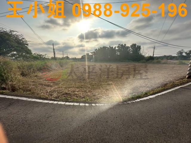 大園農地-6