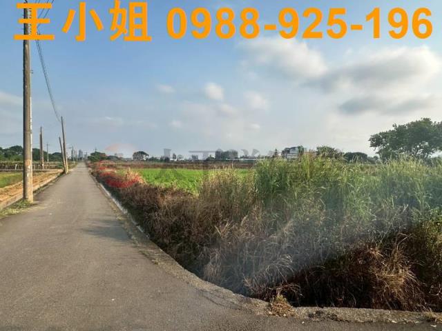 大園農地-7