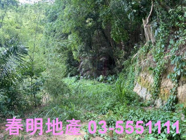 峨眉建地-1