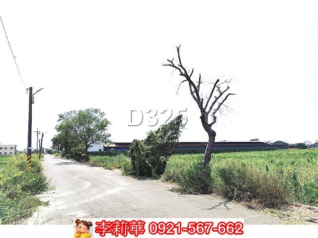 新營農地-2