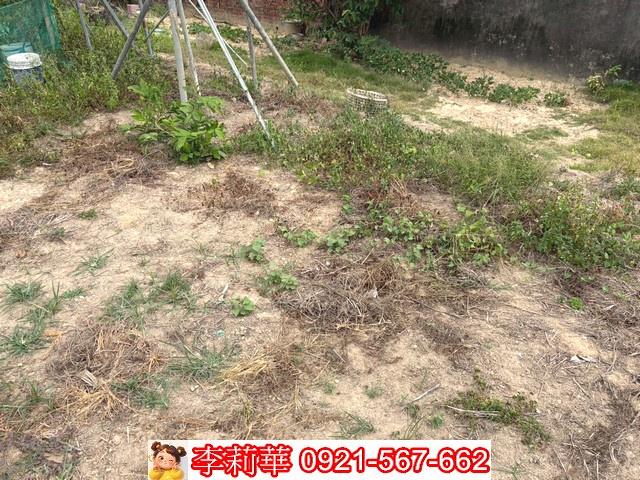 新化建地-2