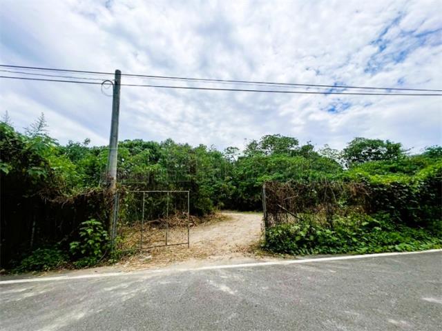 竹田農地-4