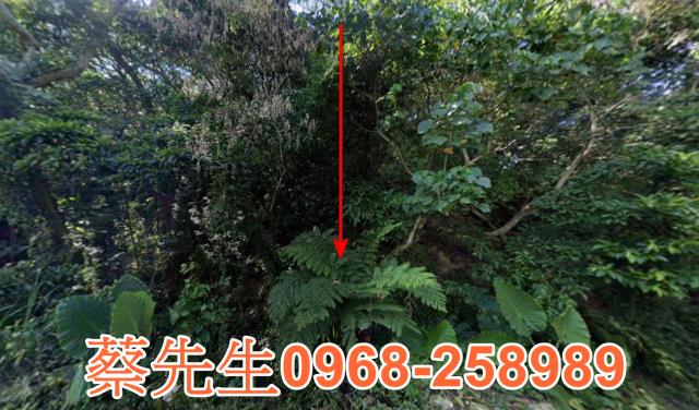 新屋鑫田三路農保地可蓋資材室可做農保