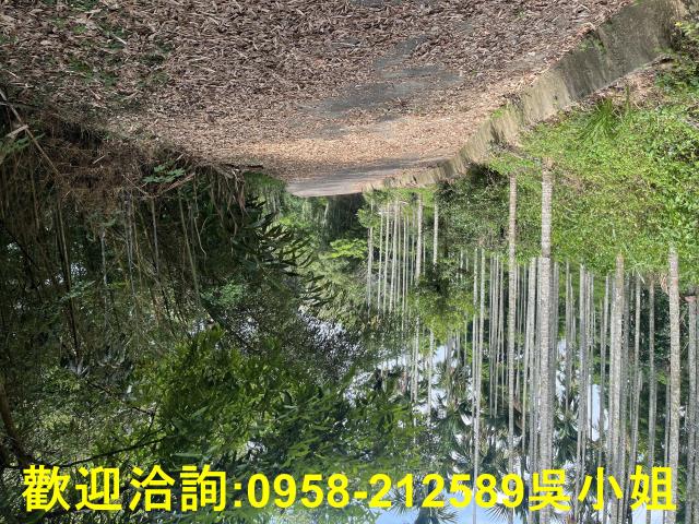 苗栗三義山坡地-8