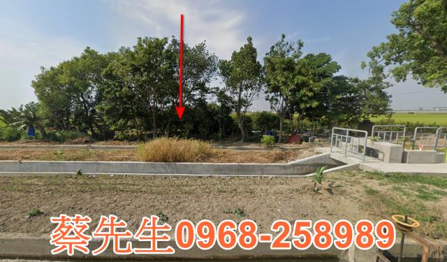 新港共和村農舍地興建農舍種植農作物