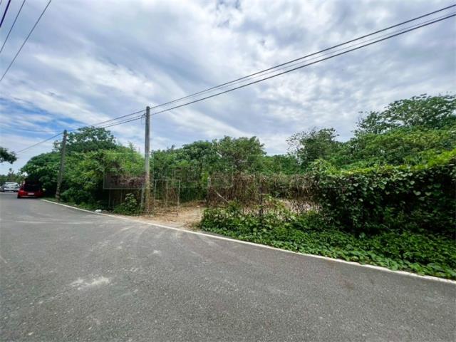 屏東竹田農地-2