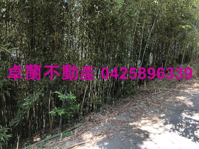 苗栗卓蘭農地-0