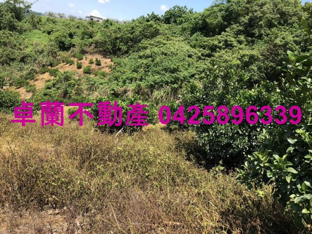 苗栗卓蘭農地-2