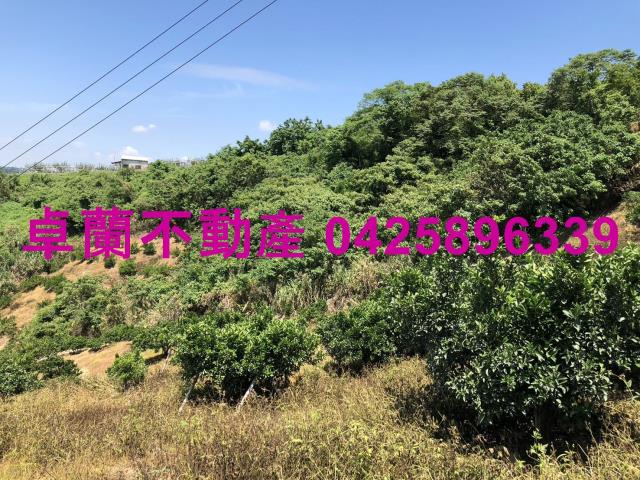 苗栗卓蘭農地-3