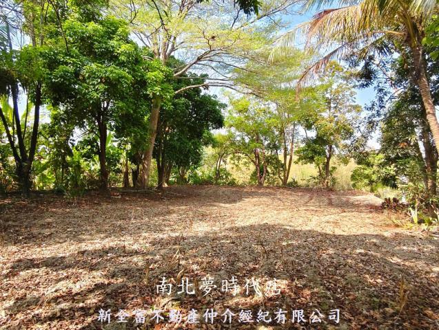台南左鎮農地-5