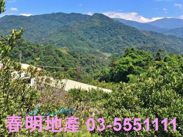 橫山農地-10