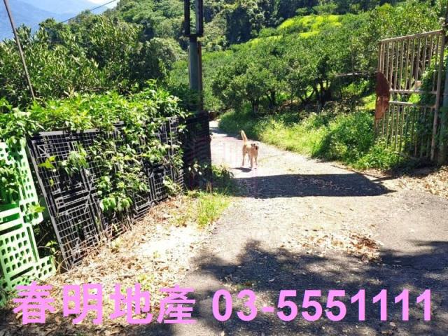 橫山農地-14
