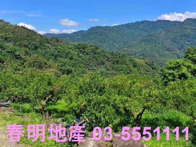 橫山農地-2