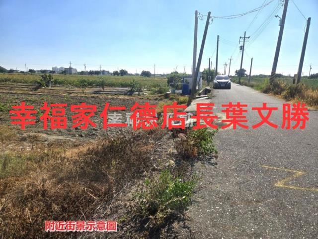 安定農地-1
