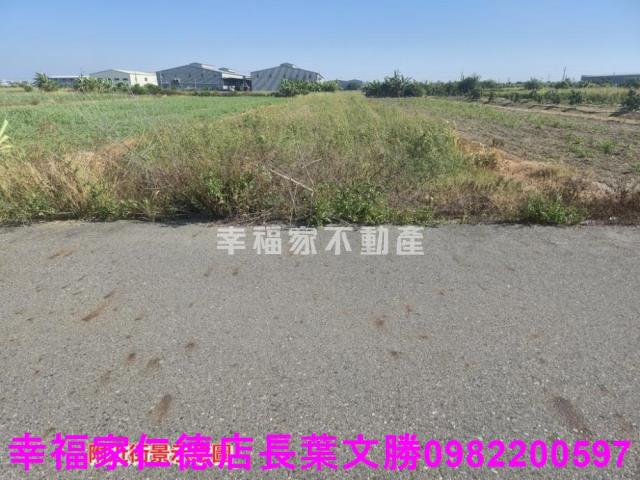 安定農地-10