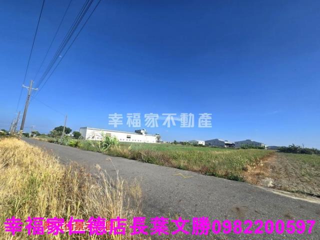安定農地-5
