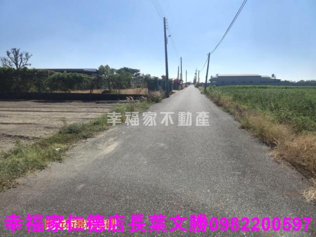 安定農地-8