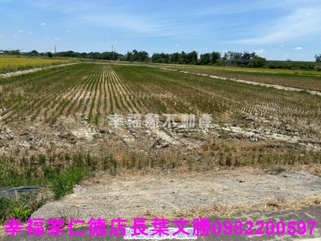 官田農地-11