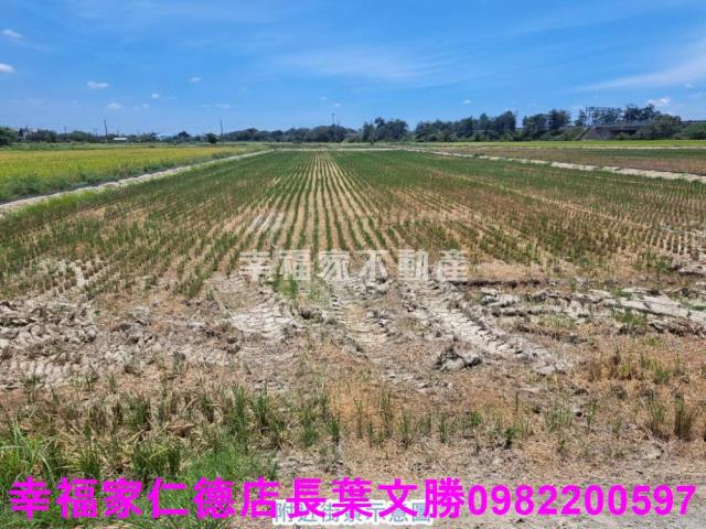 官田農地-15