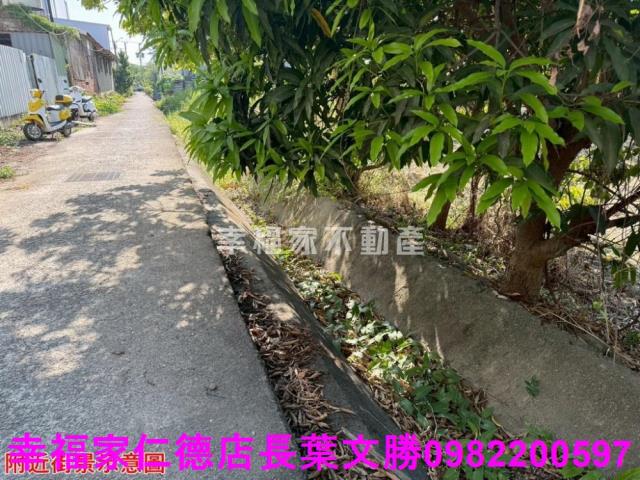仁德農地-23