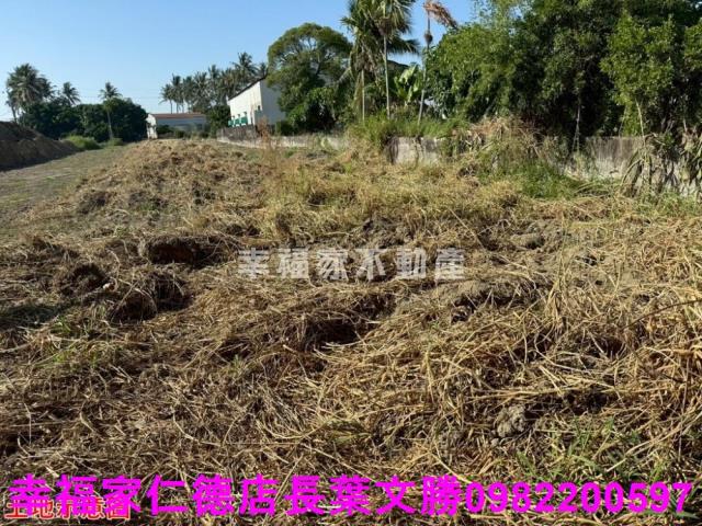 仁德農地-28