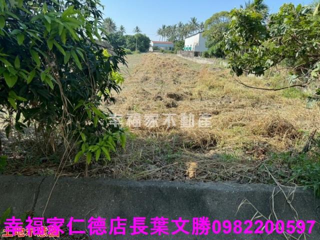 仁德農地-7