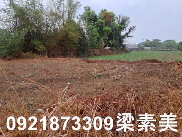 台南農地-9