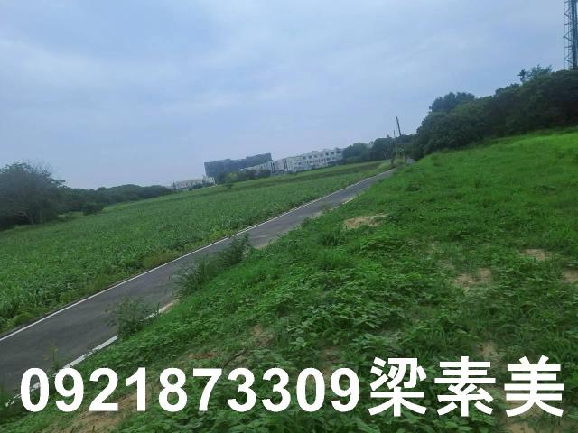 台南農地-1