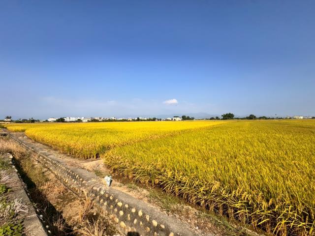 一般農業區農牧用地