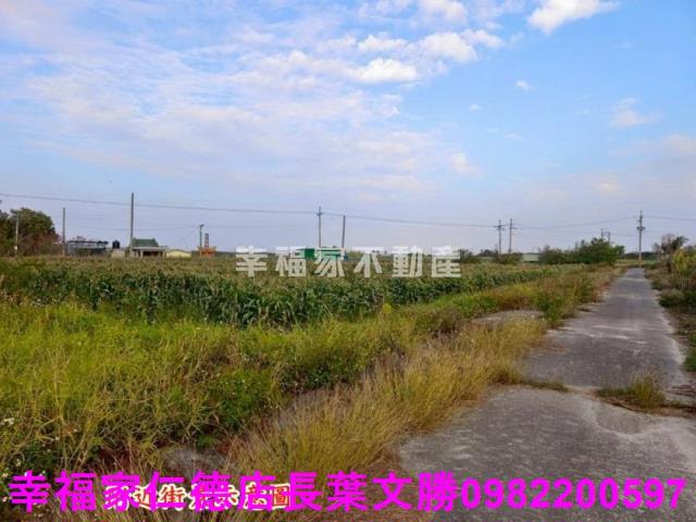 台南農地-14