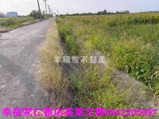 台南農地-16