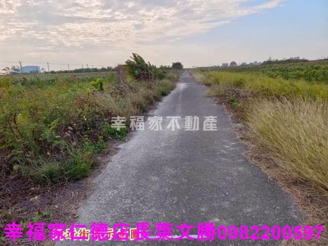 台南農地-28