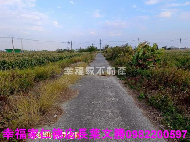 台南農地-7