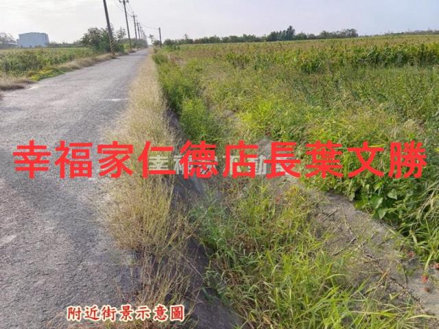 台南農地-3