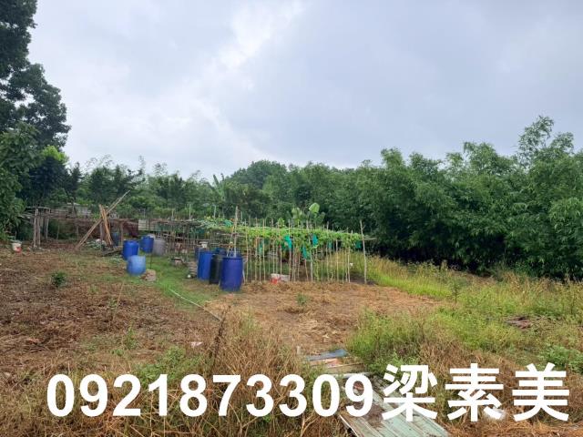 台南關廟農地-4