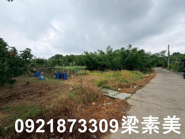 台南關廟農地-5