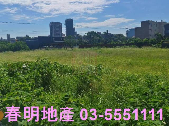 新竹新豐農地-2