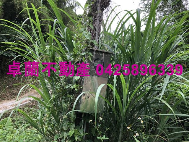 苗栗卓蘭農地-0