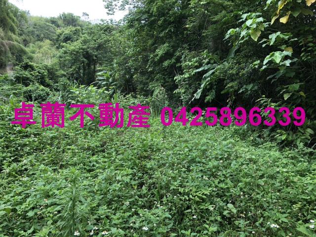 苗栗卓蘭農地-2