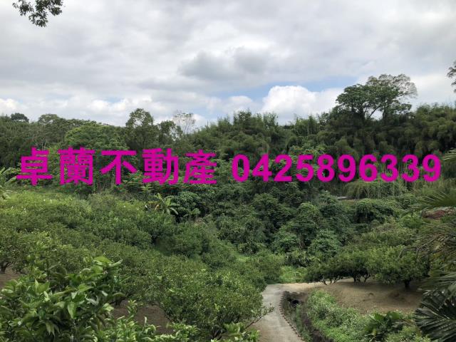 苗栗卓蘭農地-4