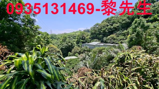 新竹峨眉林地-8
