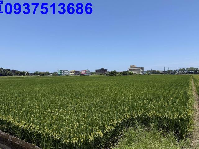 宜蘭礁溪農地-0