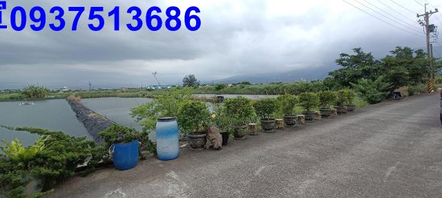 宜蘭礁溪農地-0