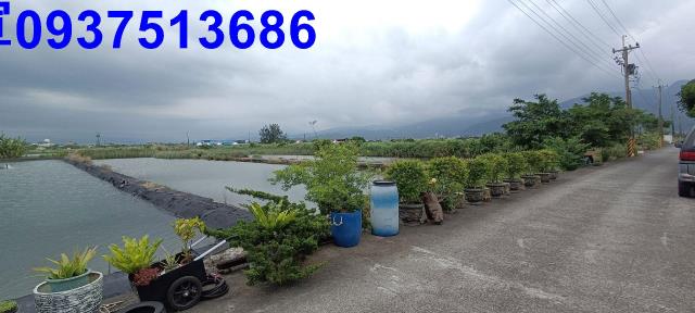 宜蘭礁溪農地-2