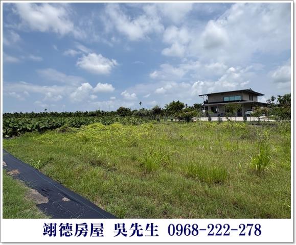 高樹農地-3